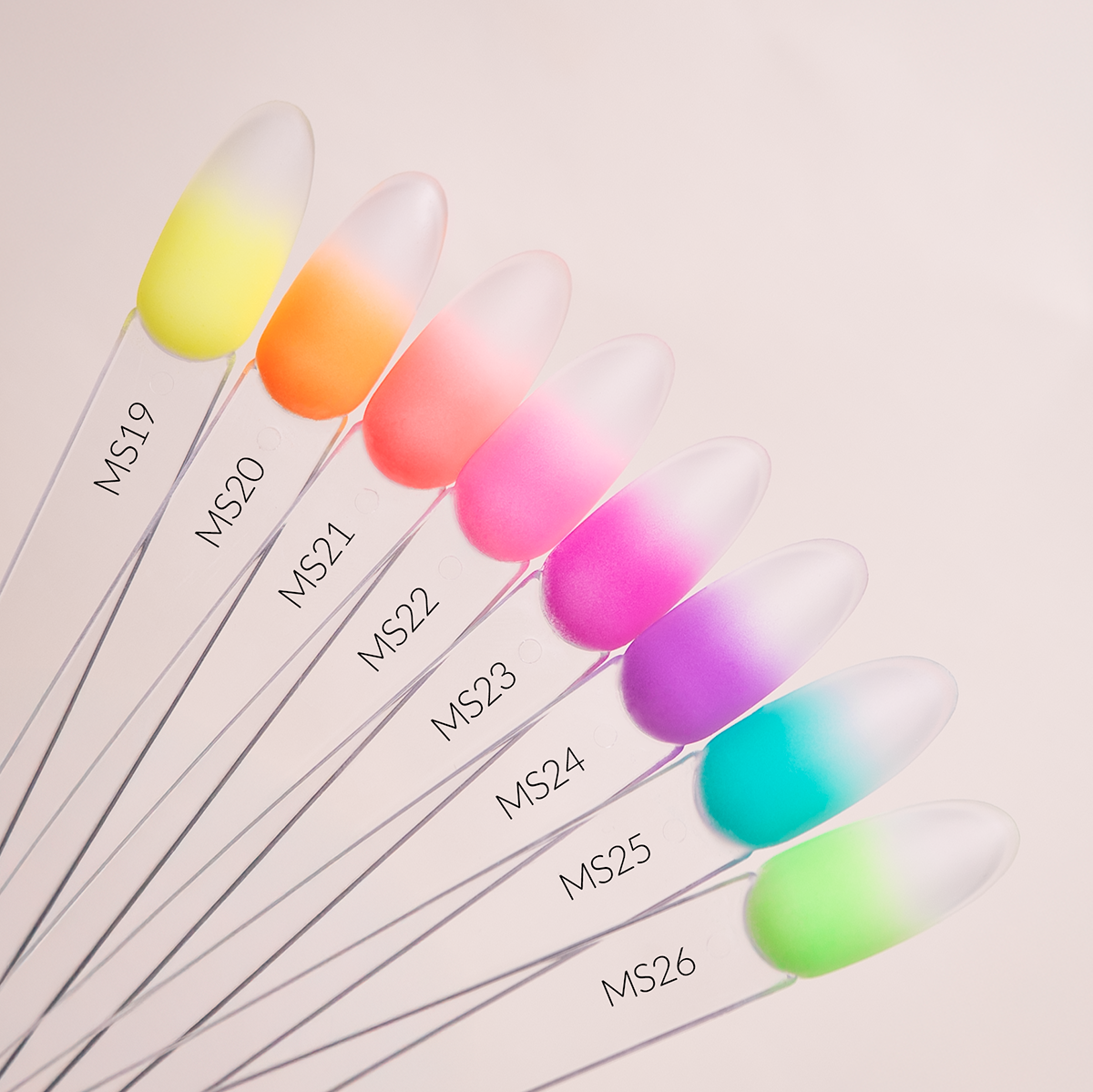 Gel Paint 3in1 Mousse Gel - MS21